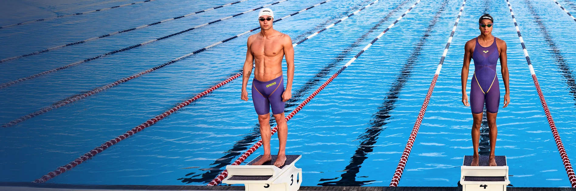 Arena -Arena CFGFGFFG