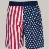 Arena Official USA Swimming National Team Flag Print Bermuda Short