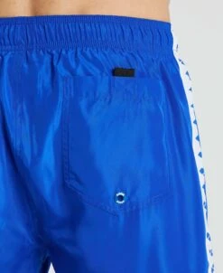 Arena Icons Team Stripe Boxer 29 Arena Icons Team Stripe Boxer -Arena ftp m magentoproduct photos004407810 005 xl