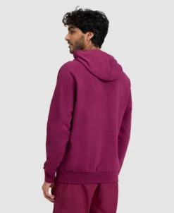 Arena Unisex Logo Hooded Sweatshirt -Arena ftp m magentoproduct photos005335990 004 xl