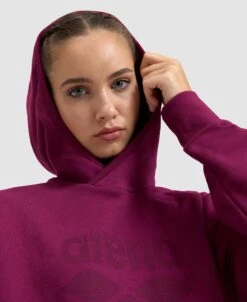 Arena Unisex Logo Hooded Sweatshirt -Arena ftp m magentoproduct photos005335990 008 xl
