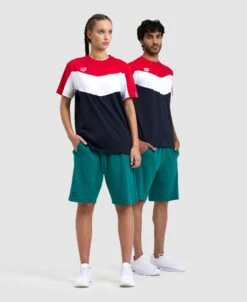 Arena Color Block T-Shirt 33 Arena Color Block T-Shirt -Arena ftp m magentoproduct photos005979417 006 xl